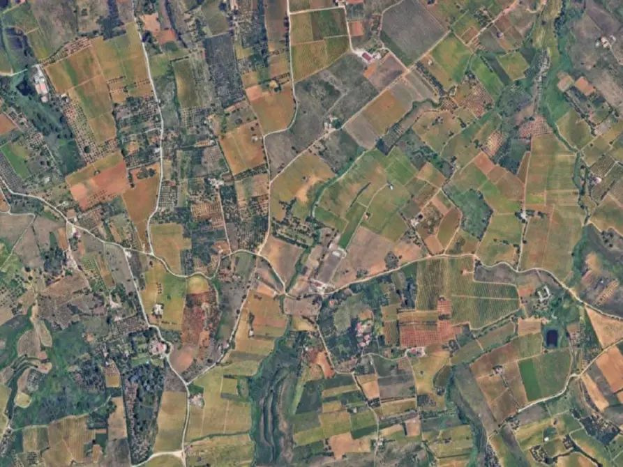 Immagine 9 di Terreno in vendita  in Contrada Bosco Falconeria, N. snc a Partinico