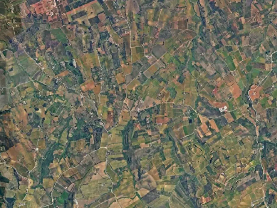 Immagine 10 di Terreno in vendita  in Contrada Bosco Falconeria, N. snc a Partinico