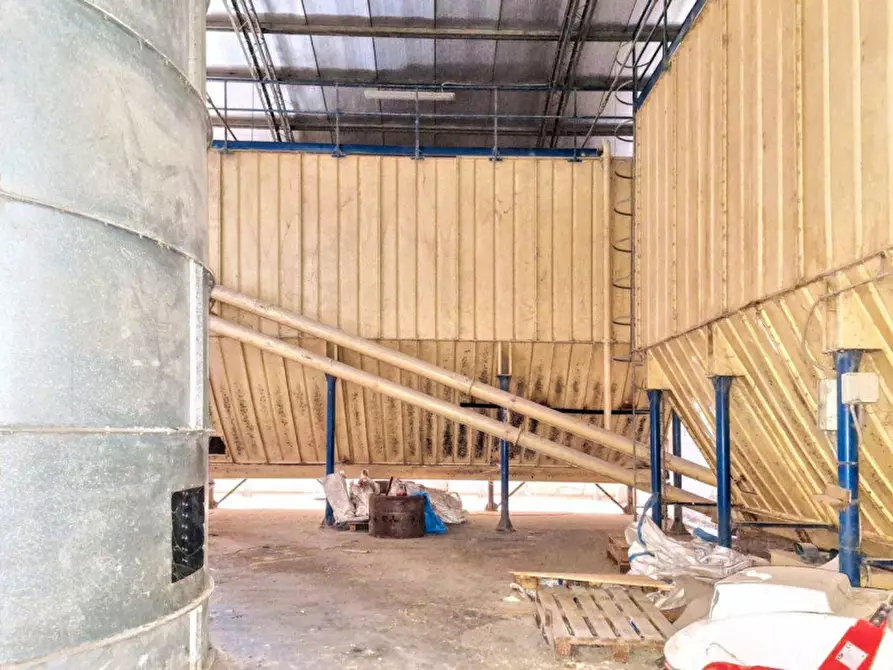 Immagine 4 di Capannone industriale in vendita  in Via Carmine Soro, N. snc a Irgoli