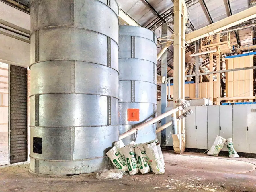 Immagine 5 di Capannone industriale in vendita  in Via Carmine Soro, N. snc a Irgoli