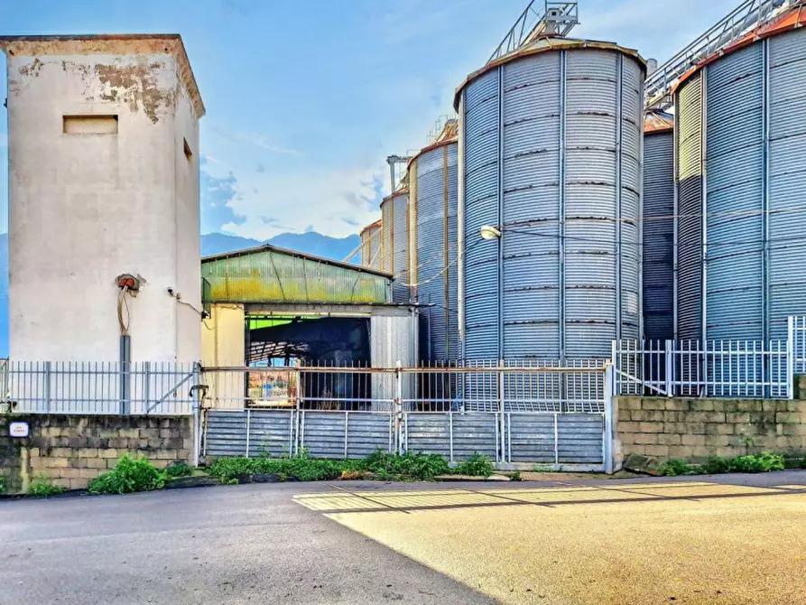 Immagine 13 di Capannone industriale in vendita  in Via Carmine Soro, N. snc a Irgoli