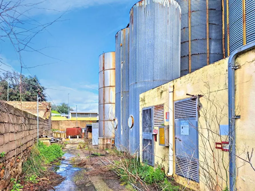 Immagine 15 di Capannone industriale in vendita  in Via Carmine Soro, N. snc a Irgoli