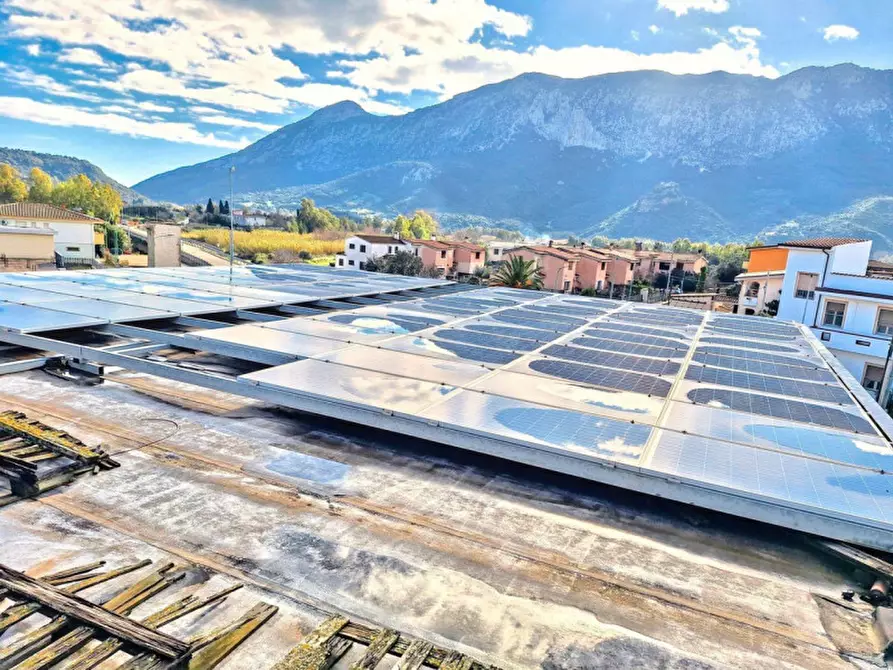 Immagine 16 di Capannone industriale in vendita  in Via Carmine Soro, N. snc a Irgoli