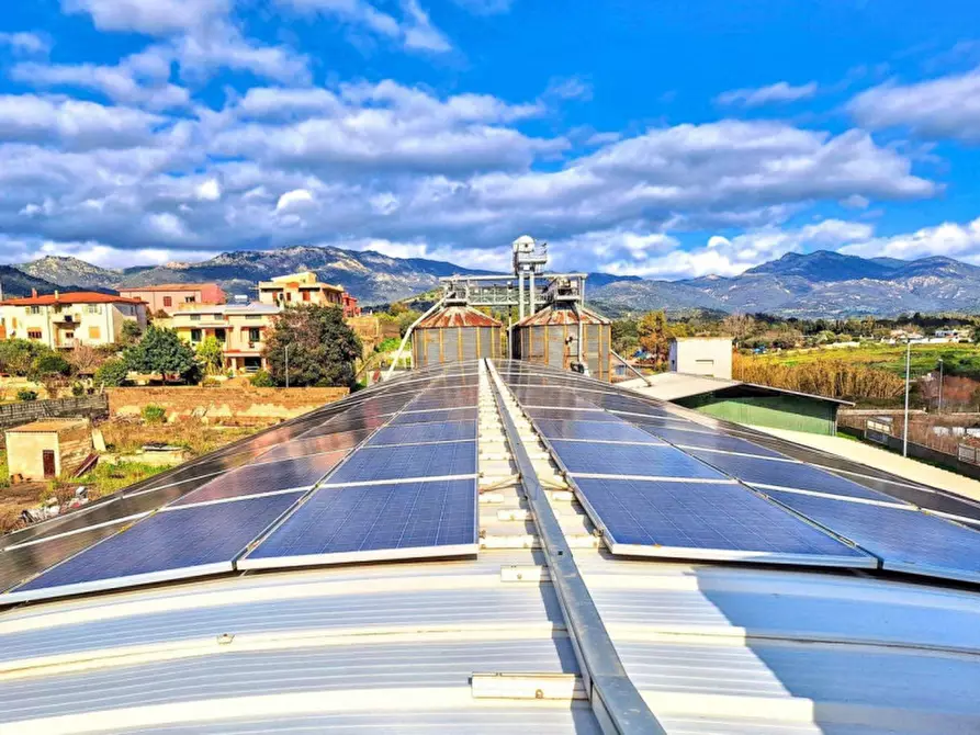 Immagine 18 di Capannone industriale in vendita  in Via Carmine Soro, N. snc a Irgoli