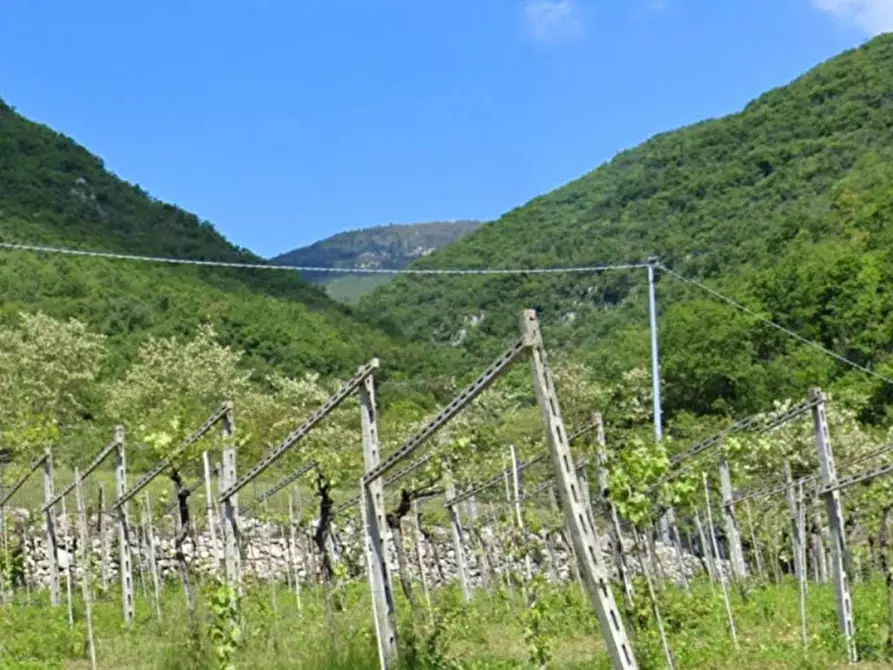 Immagine 1 di Terreno in vendita  in Via Progni, N. snc a Fumane