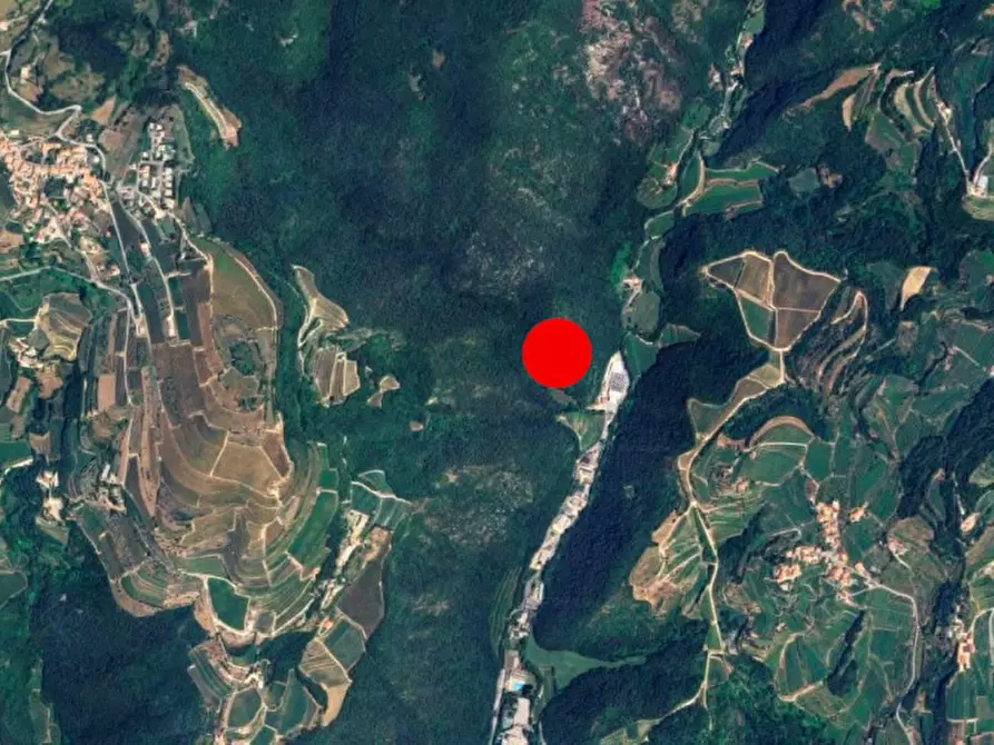 Immagine 10 di Terreno in vendita  in Via Progni, N. snc a Fumane