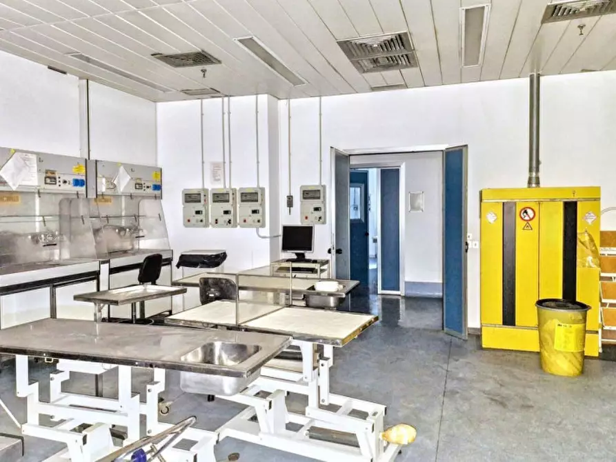 Immagine 12 di Ufficio in vendita  in Via III Strada Mimosa - Zona industriale, N. 12 a Catania