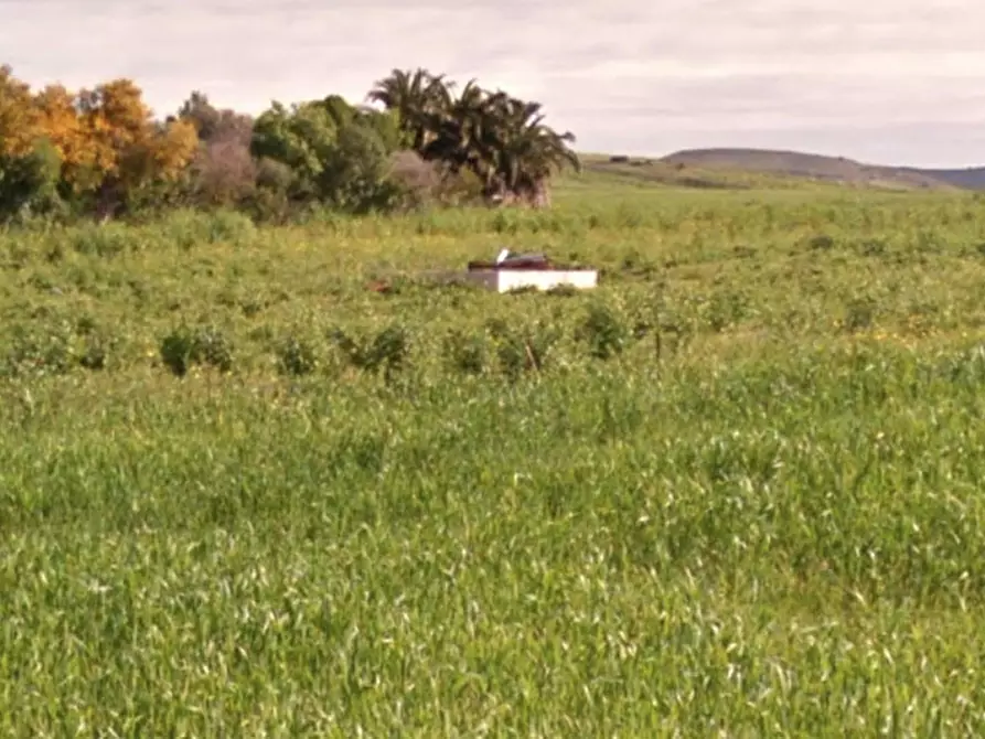 Immagine 1 di Terreno in vendita  in Via Giambattista Pergolesi, N. Snc a Sanluri