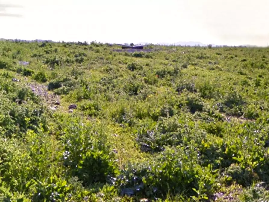 Immagine 3 di Terreno in vendita  in Via Giambattista Pergolesi, N. Snc a Sanluri