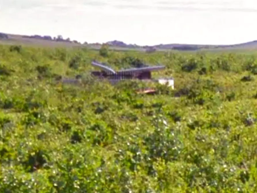 Immagine 5 di Terreno in vendita  in Via Giambattista Pergolesi, N. Snc a Sanluri