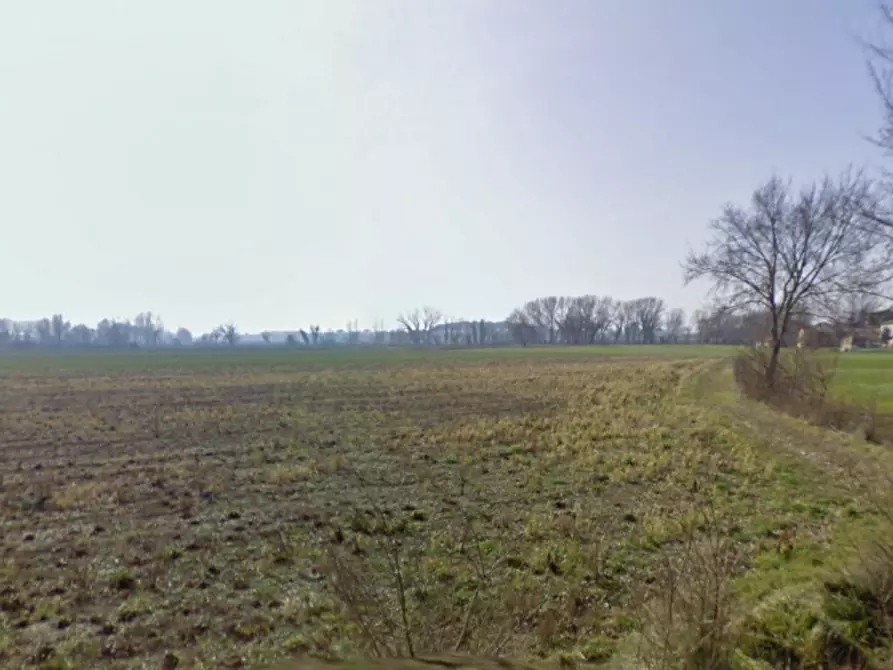 Immagine 4 di Terreno in vendita  in frazione Sterpeto, N. snc a Assisi