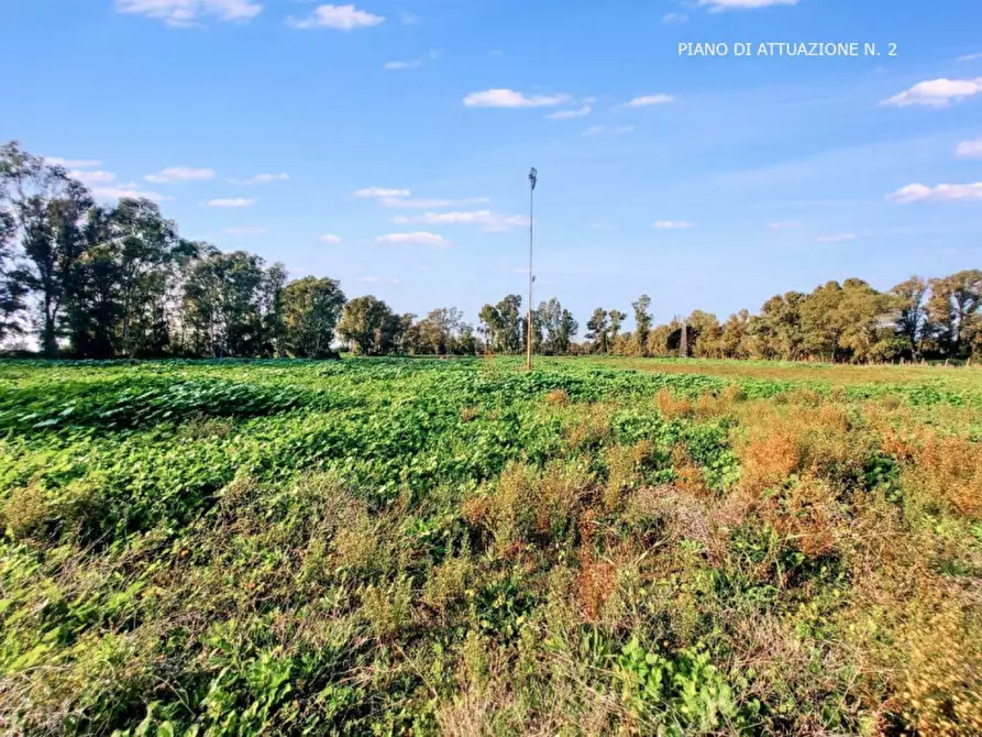 Immagine 8 di Terreno in vendita  in Via Luigi Albertini - Loc. Centro Tre Denari, N. snc a Fiumicino