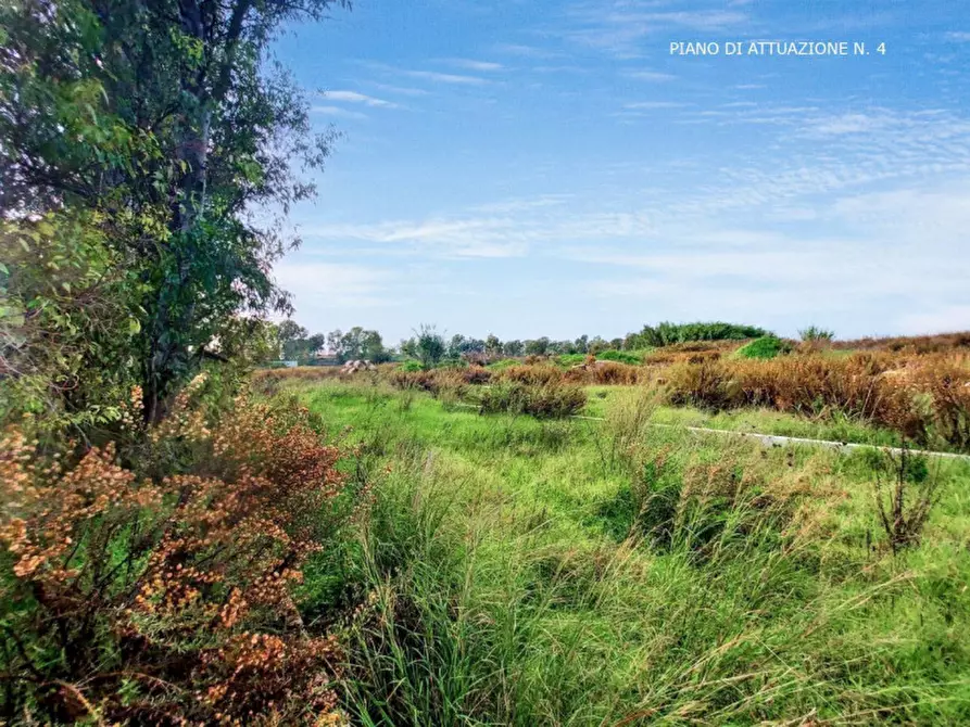 Immagine 12 di Terreno in vendita  in Via Luigi Albertini - Loc. Centro Tre Denari, N. snc a Fiumicino