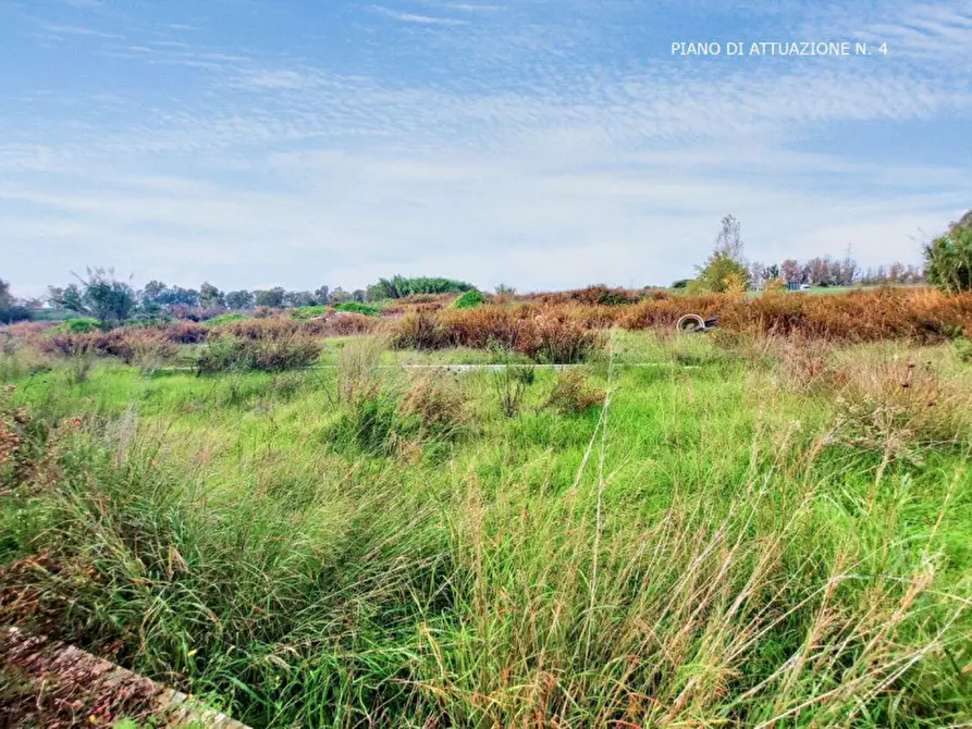 Immagine 13 di Terreno in vendita  in Via Luigi Albertini - Loc. Centro Tre Denari, N. snc a Fiumicino