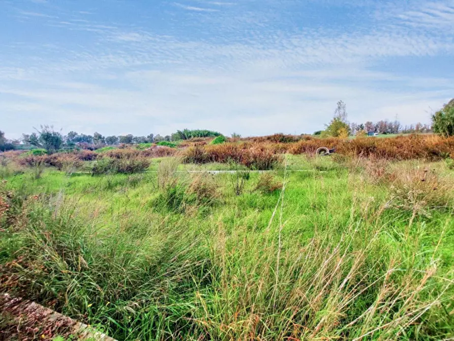 Immagine 2 di Terreno in vendita  in Via Luigi Albertini -  Loc. Centro Tre Denari, N. snc a Fiumicino