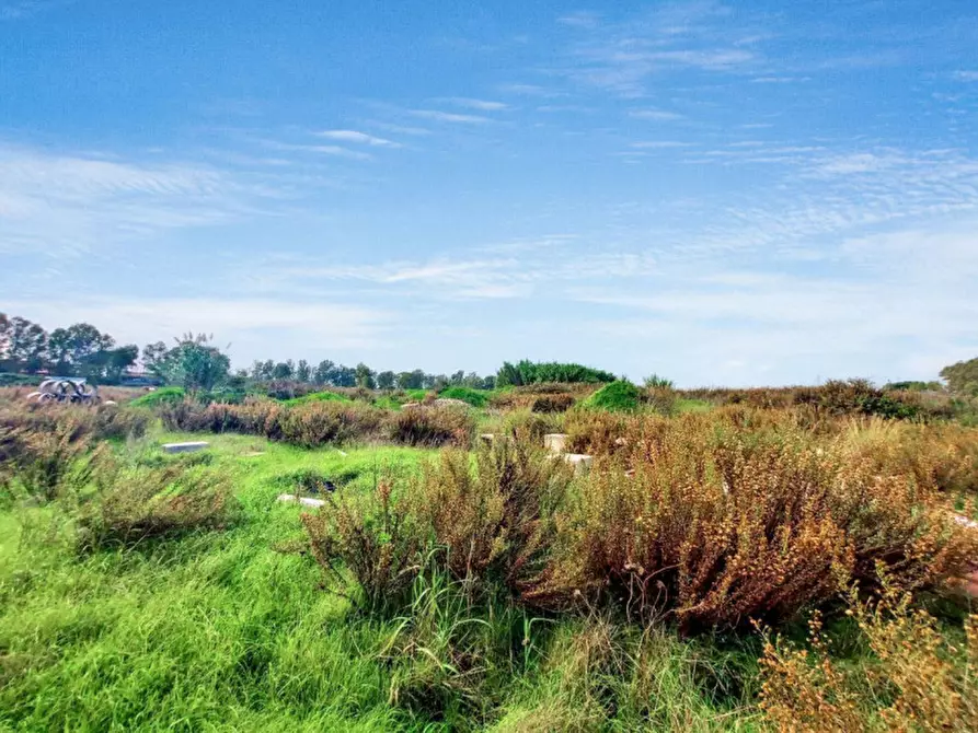 Immagine 3 di Terreno in vendita  in Via Luigi Albertini -  Loc. Centro Tre Denari, N. snc a Fiumicino