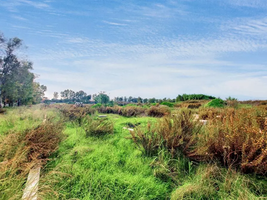 Immagine 5 di Terreno in vendita  in Via Luigi Albertini -  Loc. Centro Tre Denari, N. snc a Fiumicino