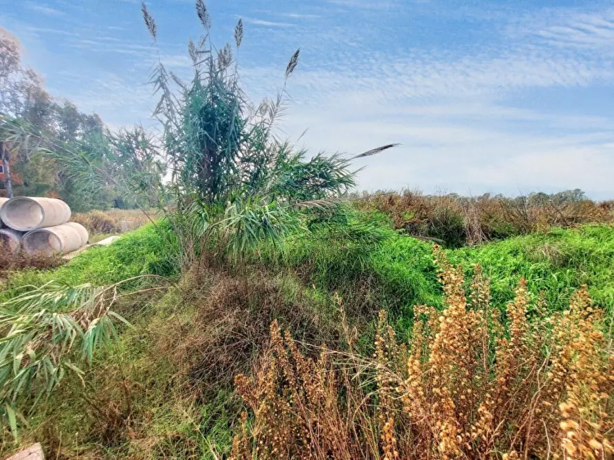 Immagine 6 di Terreno in vendita  in Via Luigi Albertini -  Loc. Centro Tre Denari, N. snc a Fiumicino