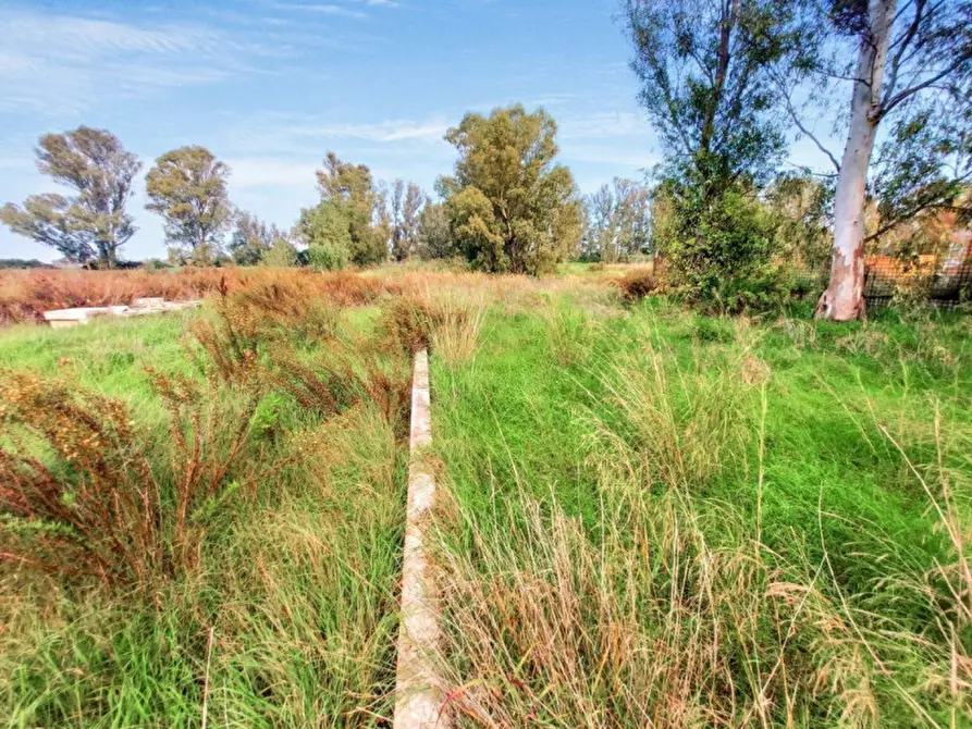 Immagine 10 di Terreno in vendita  in Via Luigi Albertini -  Loc. Centro Tre Denari, N. snc a Fiumicino