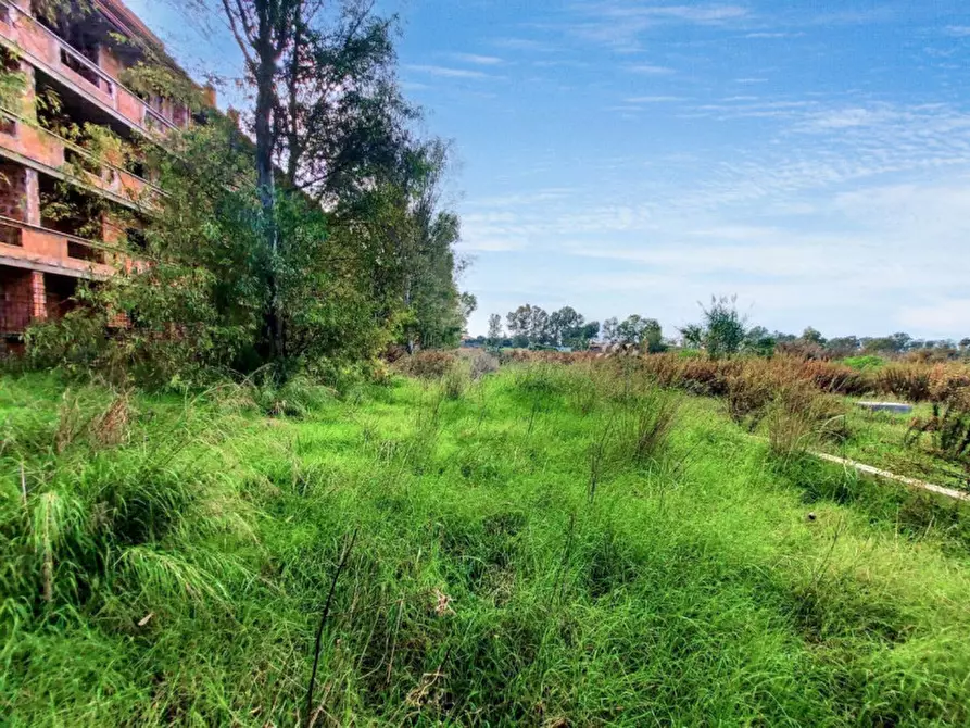 Immagine 11 di Terreno in vendita  in Via Luigi Albertini -  Loc. Centro Tre Denari, N. snc a Fiumicino
