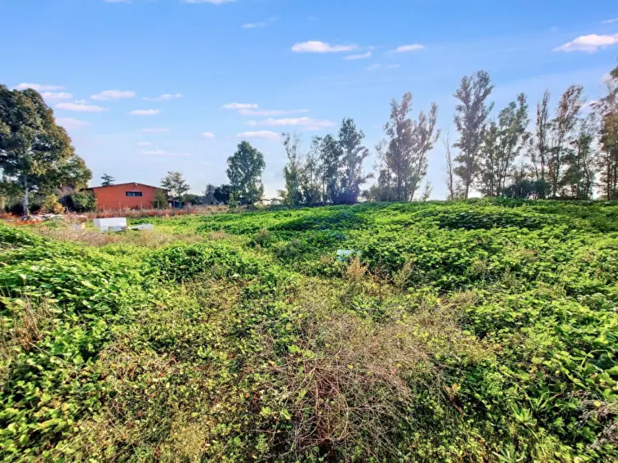 Immagine 2 di Terreno in vendita  in Via Castel Lombardo -  Loc. Centro Tre Denari, N. snc a Fiumicino