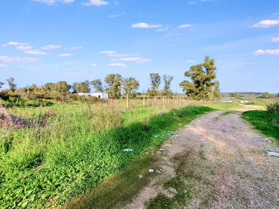 Immagine 3 di Terreno in vendita  in Via Castel Lombardo -  Loc. Centro Tre Denari, N. snc a Fiumicino