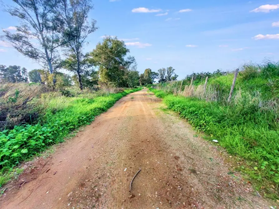 Immagine 5 di Terreno in vendita  in Via Castel Lombardo -  Loc. Centro Tre Denari, N. snc a Fiumicino