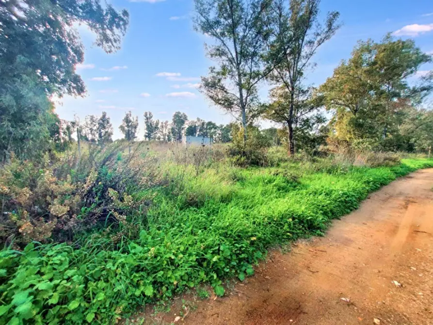 Immagine 6 di Terreno in vendita  in Via Castel Lombardo -  Loc. Centro Tre Denari, N. snc a Fiumicino