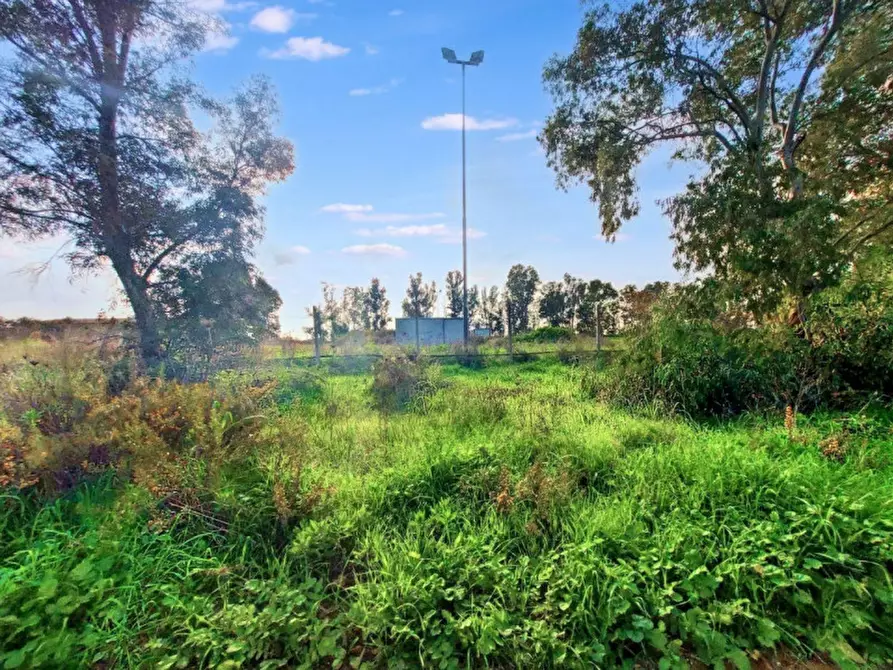 Immagine 7 di Terreno in vendita  in Via Castel Lombardo -  Loc. Centro Tre Denari, N. snc a Fiumicino