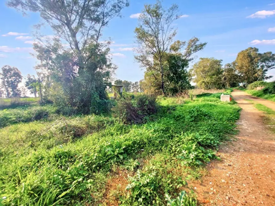 Immagine 8 di Terreno in vendita  in Via Castel Lombardo -  Loc. Centro Tre Denari, N. snc a Fiumicino