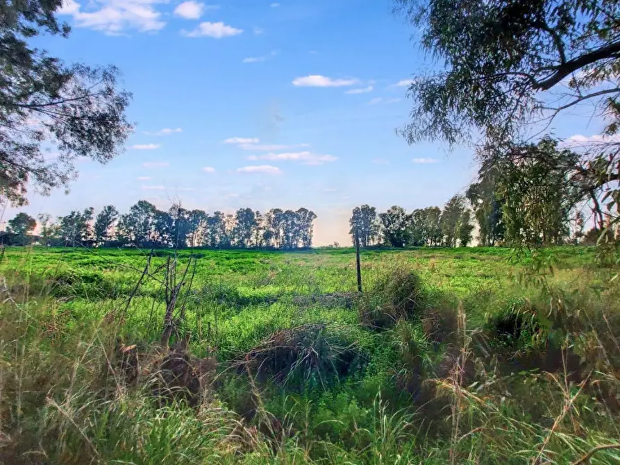 Immagine 9 di Terreno in vendita  in Via Castel Lombardo -  Loc. Centro Tre Denari, N. snc a Fiumicino