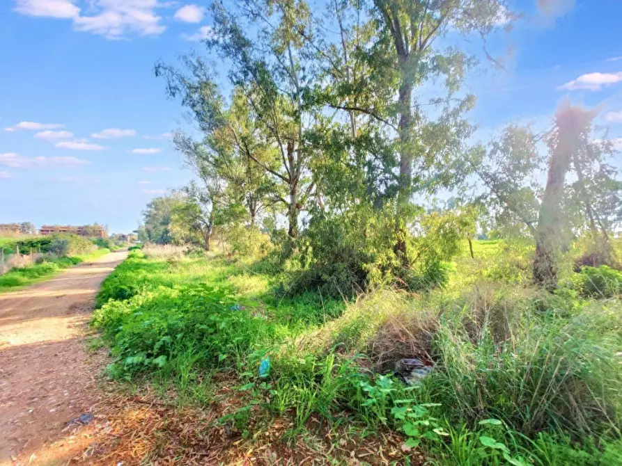 Immagine 10 di Terreno in vendita  in Via Castel Lombardo -  Loc. Centro Tre Denari, N. snc a Fiumicino