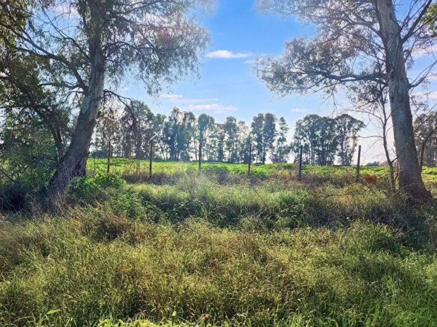 Immagine 11 di Terreno in vendita  in Via Castel Lombardo -  Loc. Centro Tre Denari, N. snc a Fiumicino