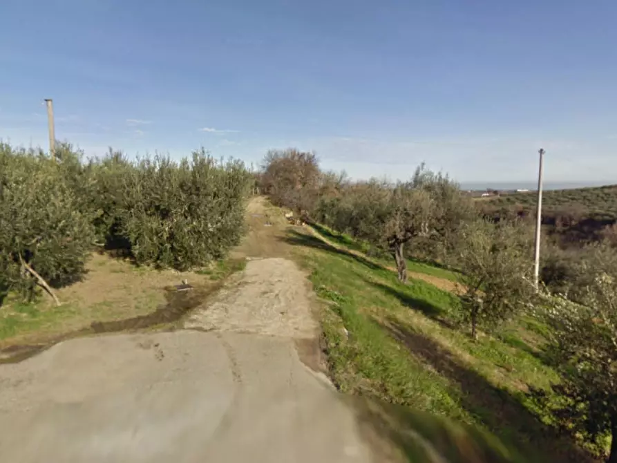 Immagine 3 di Terreno in vendita  in Cava Rossiponti, N. snc a Ari