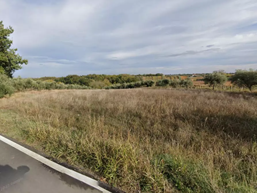 Immagine 4 di Terreno in vendita  in Cava Rossiponti, N. snc a Ari