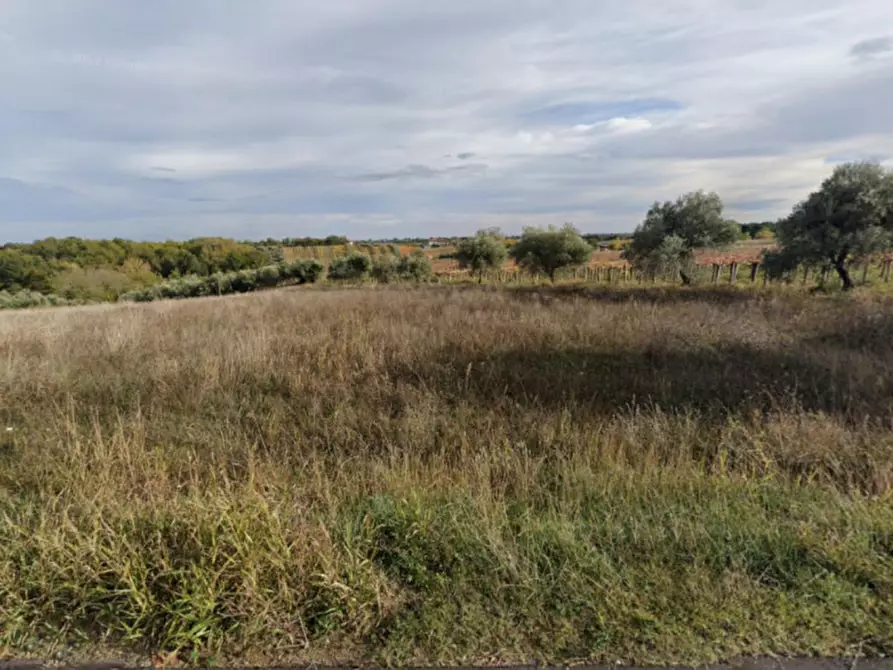 Immagine 5 di Terreno in vendita  in Cava Rossiponti, N. snc a Ari