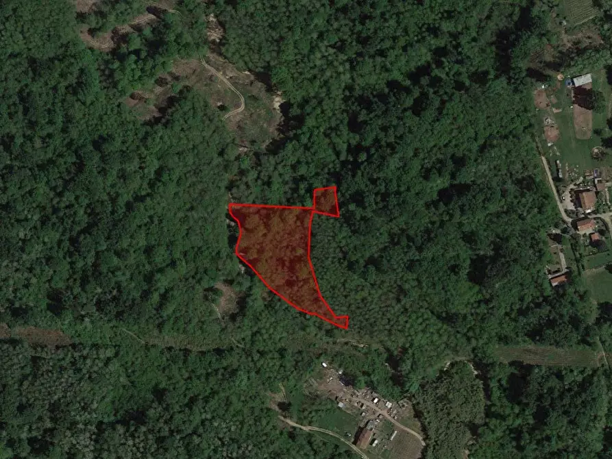 Immagine 1 di Terreno in vendita  in Regione Guado, N. snc a Masserano