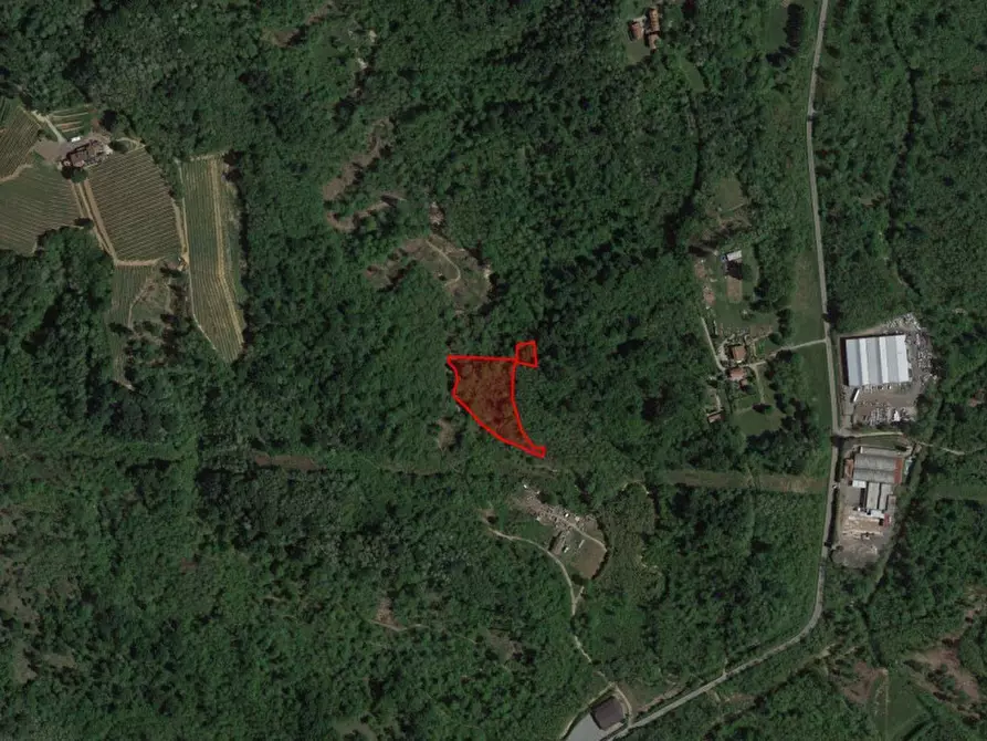 Immagine 2 di Terreno in vendita  in Regione Guado, N. snc a Masserano