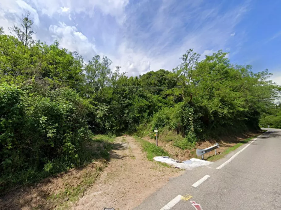 Immagine 5 di Terreno in vendita  in Regione Guado, N. snc a Masserano