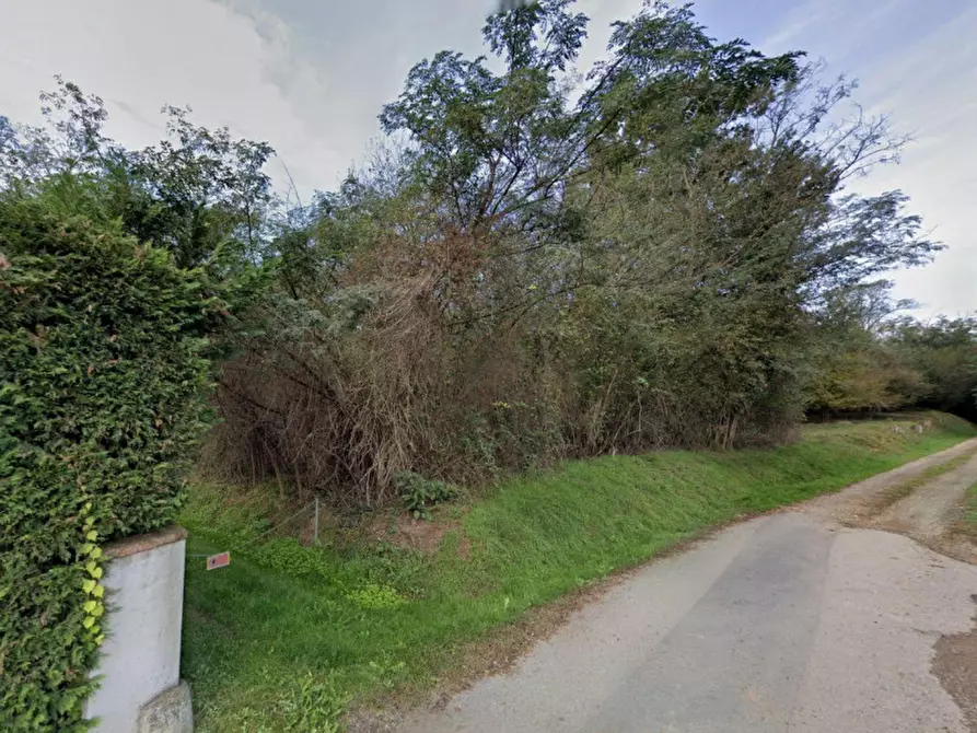 Immagine 6 di Terreno in vendita  in Regione Guado, N. snc a Masserano