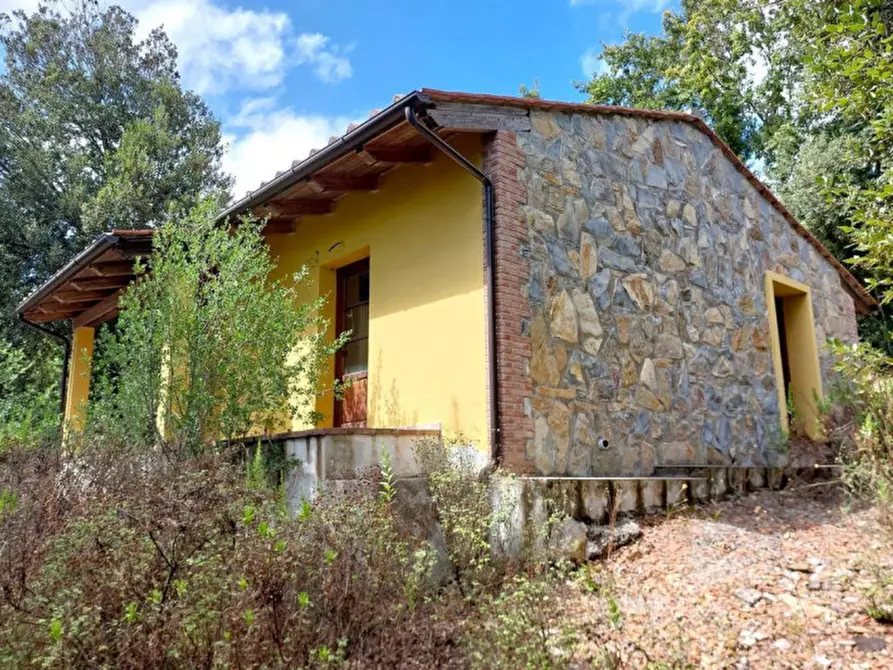 Immagine 1 di Appartamento in vendita  in Via Castagnetana, N. Snc a Monteverdi Marittimo