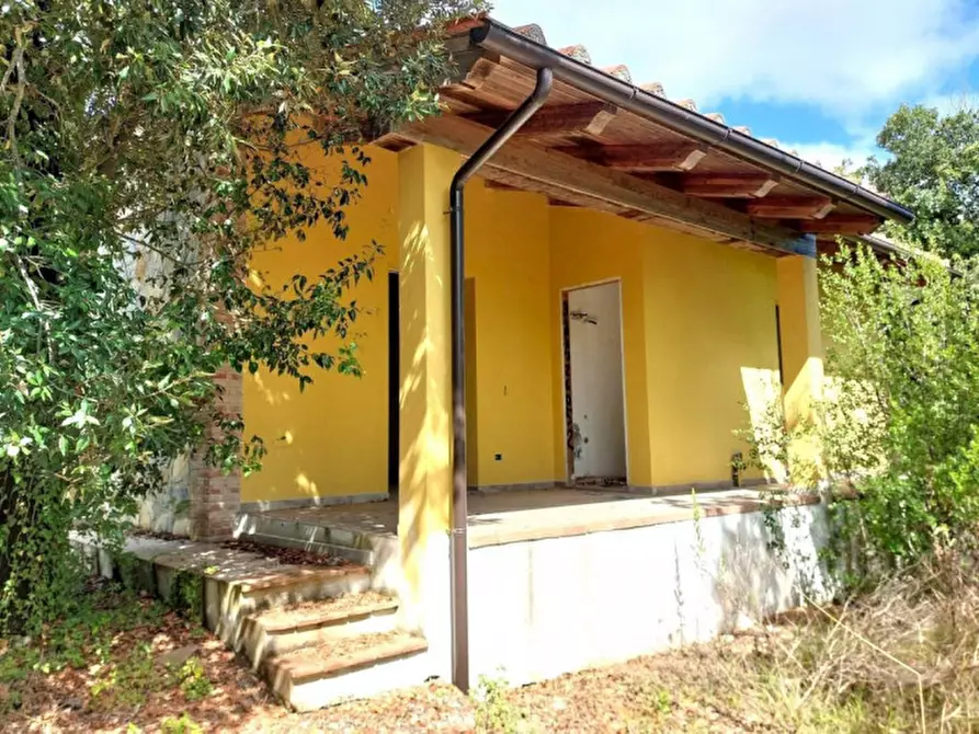 Immagine 9 di Appartamento in vendita  in Via Castagnetana, N. Snc a Monteverdi Marittimo