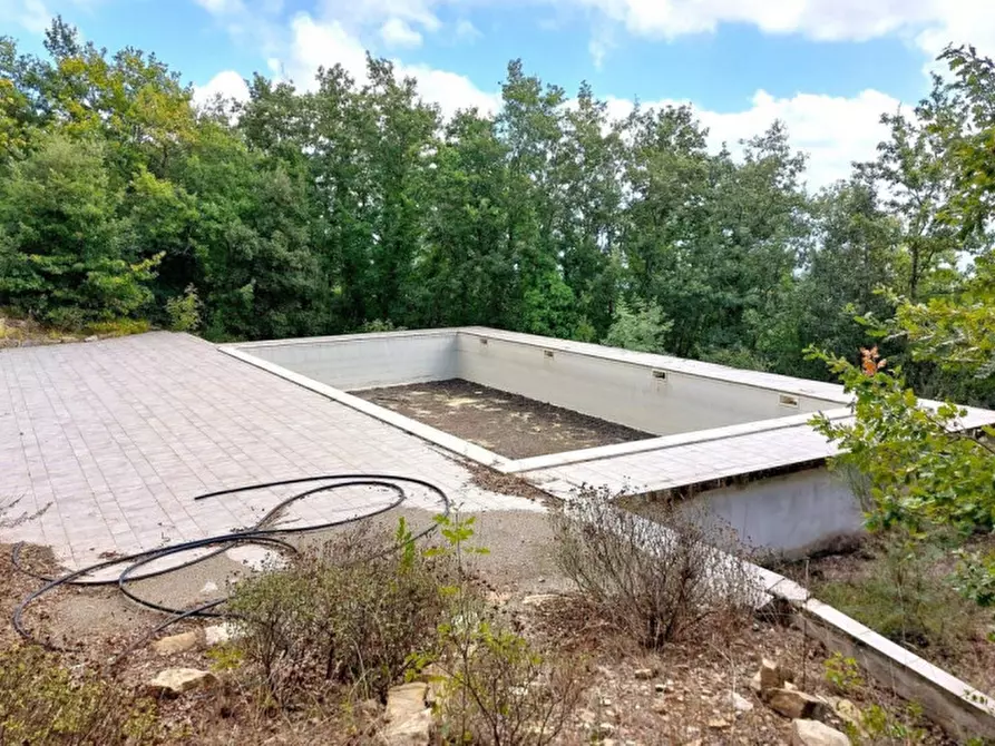 Immagine 10 di Appartamento in vendita  in Via Castagnetana, N. Snc a Monteverdi Marittimo