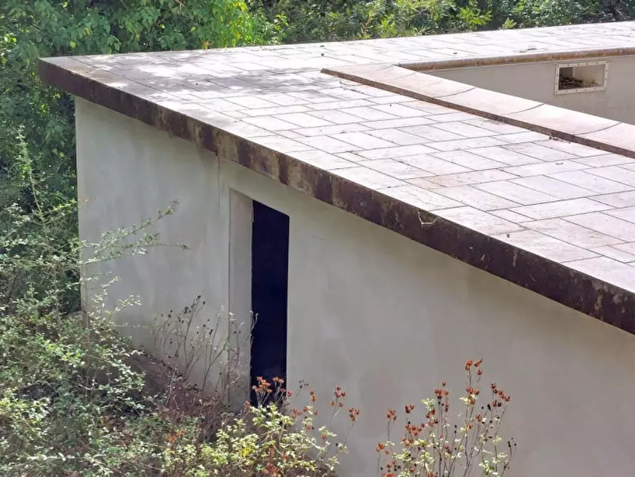 Immagine 11 di Appartamento in vendita  in Via Castagnetana, N. Snc a Monteverdi Marittimo