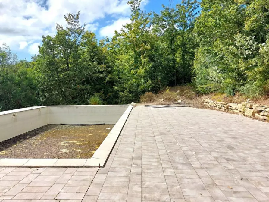 Immagine 12 di Appartamento in vendita  in Via Castagnetana, N. Snc a Monteverdi Marittimo