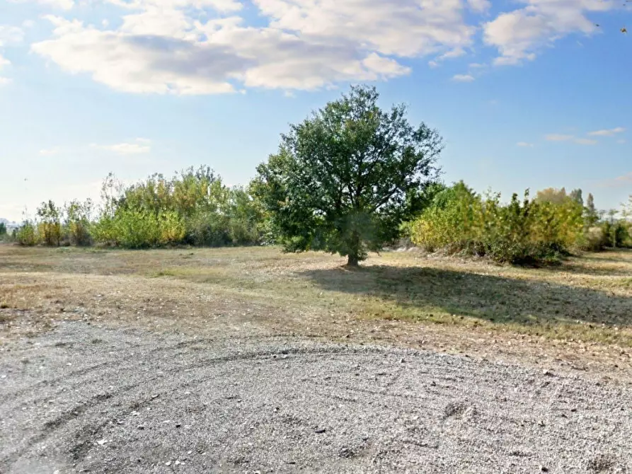 Immagine 2 di Terreno in vendita  in Via Buttigliera, N. snc a Riva Presso Chieri
