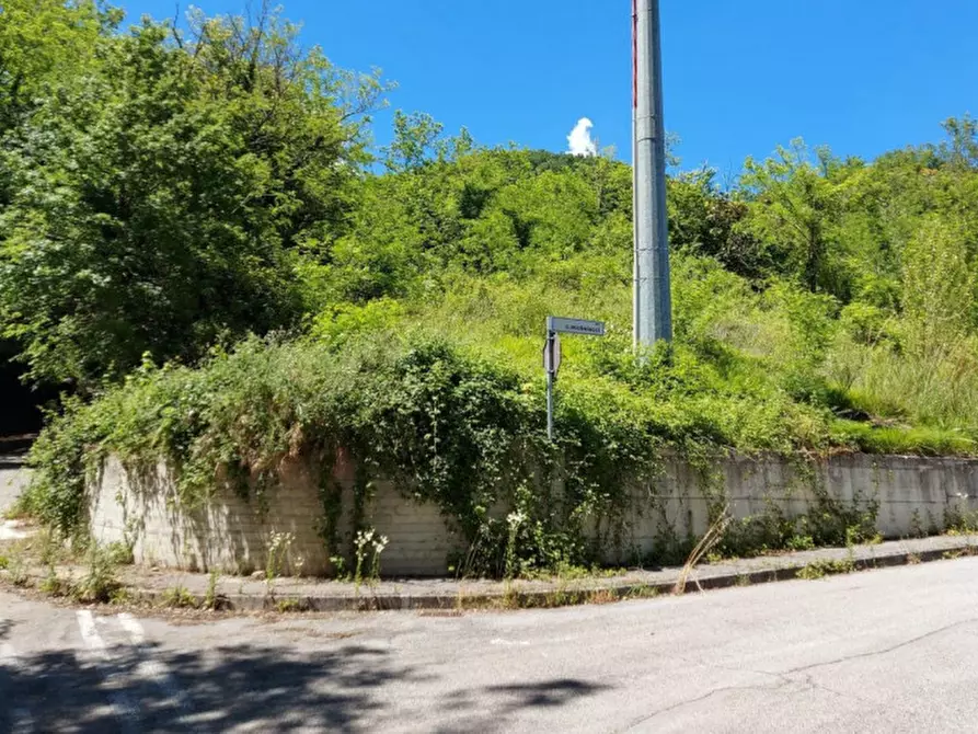 Immagine 1 di Terreno in vendita  in Via Candido Michelacci, N. Snc a Santa Sofia