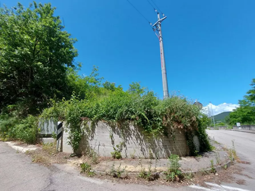 Immagine 3 di Terreno in vendita  in Via Candido Michelacci, N. Snc a Santa Sofia