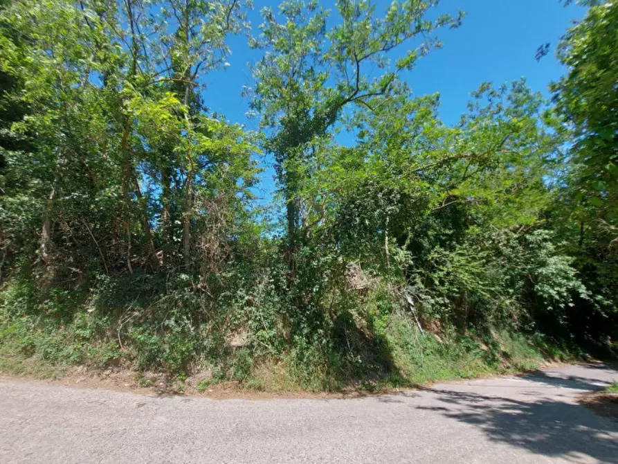 Immagine 5 di Terreno in vendita  in Via Candido Michelacci, N. Snc a Santa Sofia