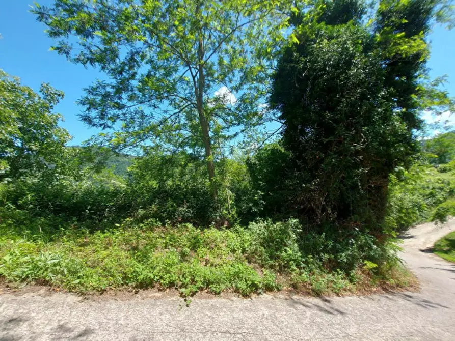 Immagine 6 di Terreno in vendita  in Via Candido Michelacci, N. Snc a Santa Sofia